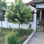 ROSTAK RESTAURANT AND BAR